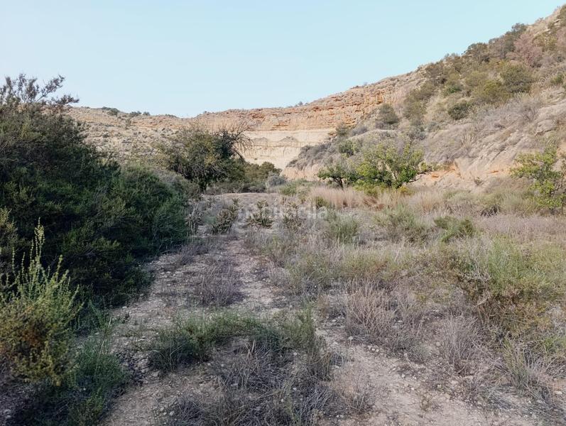 Foto 4f137f6c-7d92-4fdc-b1f4-0b01615ddb05. Casa a Peña de las Águilas Elche / Elx