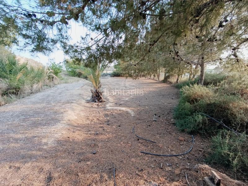 Foto 60814643-9608-41c9-b933-0a8c3885a739. Casa a Peña de las Águilas Elche / Elx