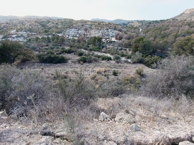 Foto 7dc64de9-ec15-4d04-a748-e4feab321acb. Casa a Peña de las Águilas Elche / Elx