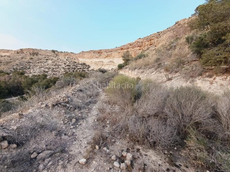 Foto 97a25f72-30d0-4cf0-8a85-3af967529150. Casa a Peña de las Águilas Elche / Elx