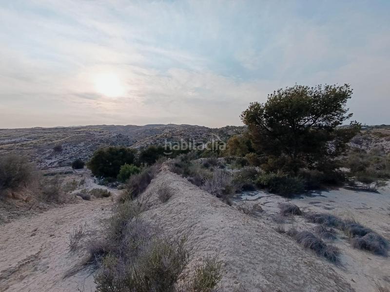 Foto 9c21ae4f-8d70-4137-b594-008a8ee08d4f. Casa a Peña de las Águilas Elche / Elx