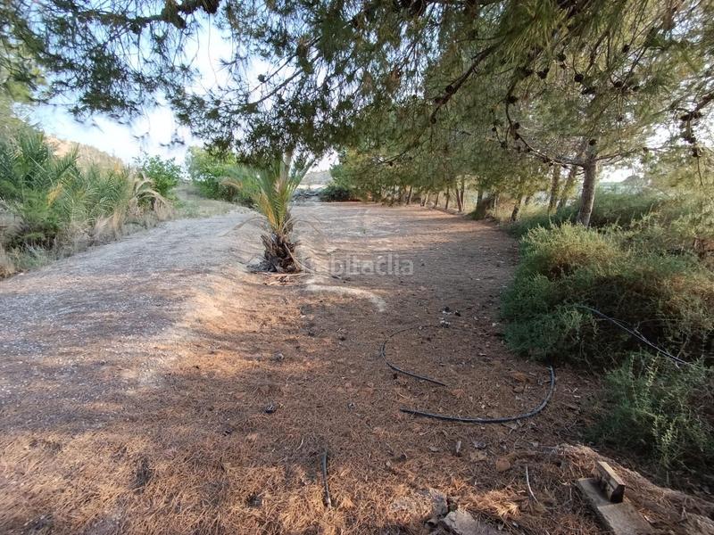 Foto a4e700ac-8416-416f-962a-a7dd78293457. Casa a Peña de las Águilas Elche / Elx