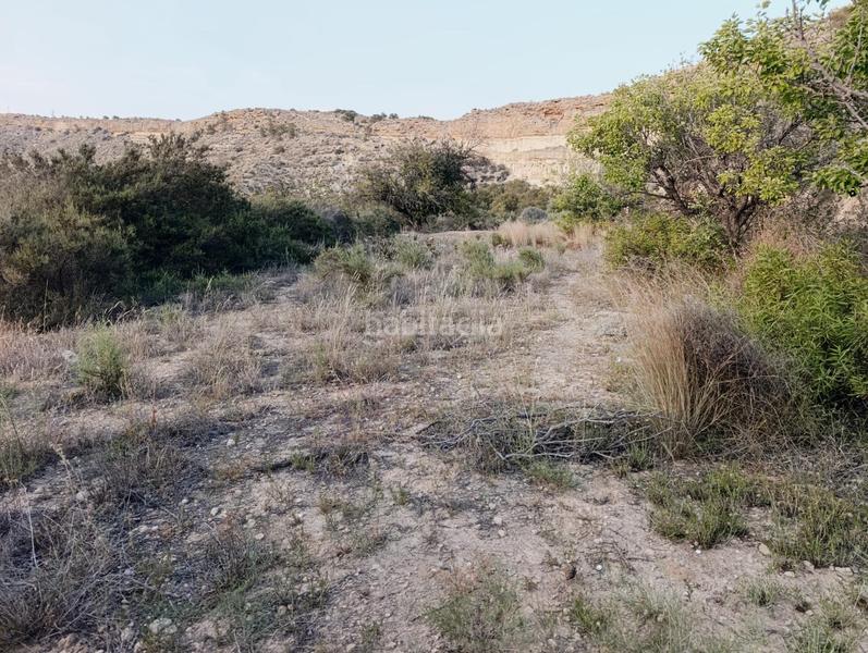 Foto b041b91c-6dde-421b-87d4-1147e52498c2. Casa a Peña de las Águilas Elche / Elx