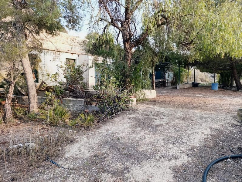 Foto b0b68944-5475-446d-8996-c9735e256684. Casa a Peña de las Águilas Elche / Elx