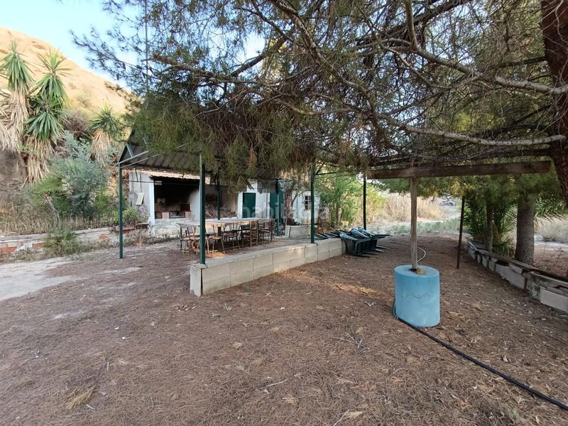 Foto d3f2a7ca-cbc8-4d39-acce-998c4b69fb0a. Casa a Peña de las Águilas Elche / Elx