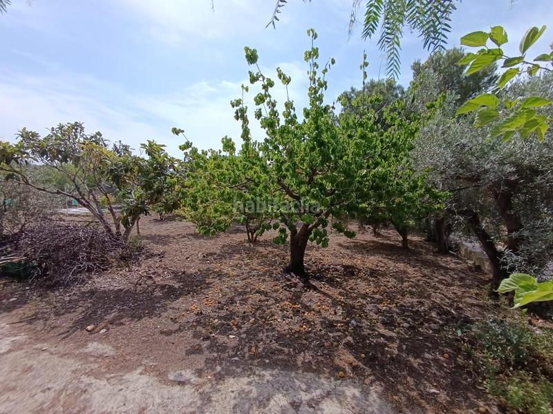 Foto ad0a7260-9557-4348-a34d-9412b27cbd1c. Maison avec chauffage parking piscine dans Hondón de las Nieves