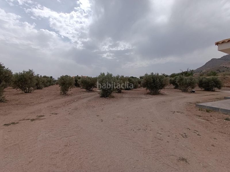 Foto 6a3df999-c2b6-43c7-b13e-39a7f309b8d3. Xalet amb calefacció a Abanilla