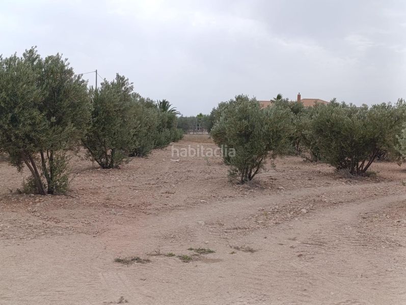 Foto adfd9a5b-ef96-4373-81ca-f3c7574c9c38. Xalet amb calefacció a Abanilla
