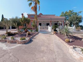 Xalet en Pea de las guilas. Amplio chalet en pea las guilas, elche  ideal para familias