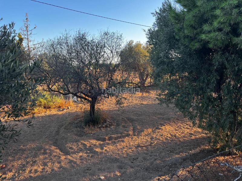 Foto 17286c4e-acbf-41f4-9861-03efeee2c6fa. Casa in La Algoda - Matola - Llano de San José Elche / Elx