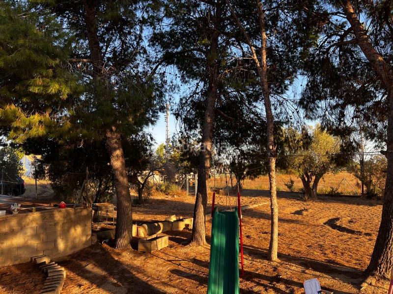 Foto 1a0ec214-b622-4633-8d2d-e50eda7862ad. Casa in La Algoda - Matola - Llano de San José Elche / Elx