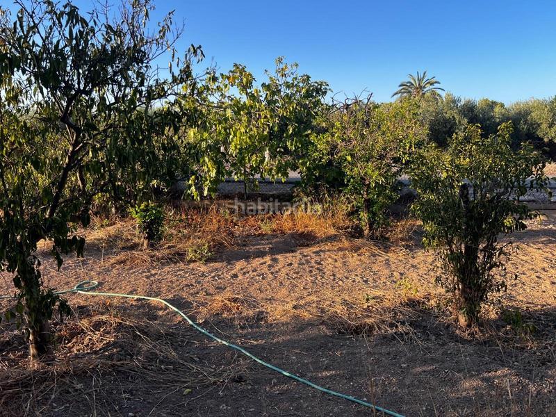 Foto 6289cbf5-bdd6-4ff6-8c13-67e3ff01f0ef. Casa in La Algoda - Matola - Llano de San José Elche / Elx