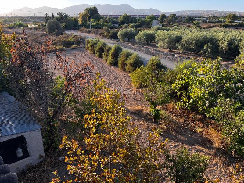 Foto ae937fea-f28b-42a9-9bd5-0e6d7d836bea. Casa in La Algoda - Matola - Llano de San José Elche / Elx