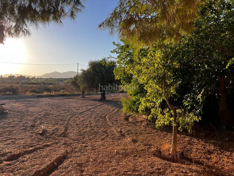 Foto d13dd4ea-39cf-4f66-9e83-f157e4aed36c. Casa a La Algoda - Matola - Llano de San José Elche / Elx