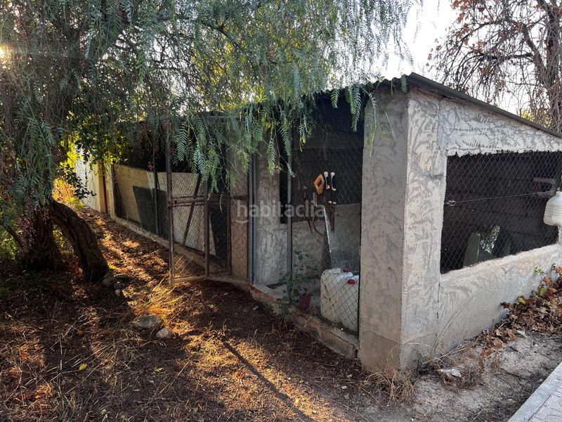 Foto e1ffd146-7cfc-4143-a386-d1eb720dd684. Casa a La Algoda - Matola - Llano de San José Elche / Elx