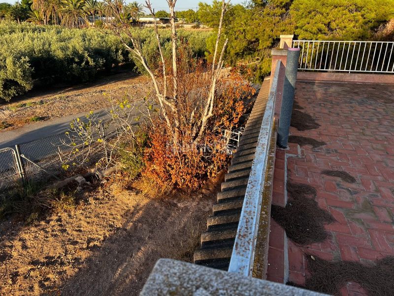 Foto f0720c57-d4a6-4478-98a9-9358b3ba8d42. Casa a La Algoda - Matola - Llano de San José Elche / Elx