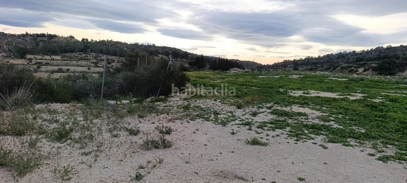 Foto 05b9d297-18e6-44ca-8ec5-44a6c2fbd319. Finca rústica a Pedanías Oeste Aspe