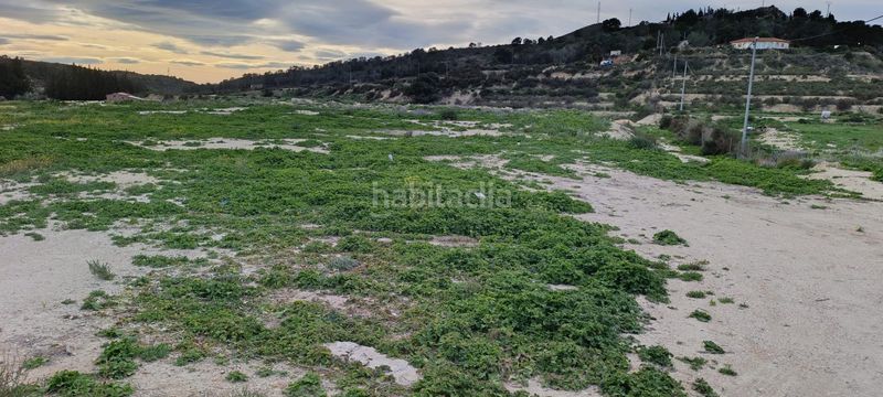 Foto 1004d144-a715-474f-94b6-32fd057b92ce. Finca rústica a Pedanías Oeste Aspe