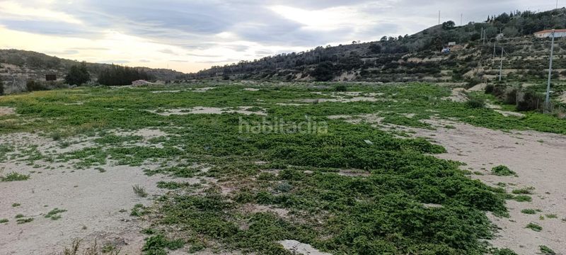 Foto 97e0c3d8-f46c-44a3-a63c-75b66c4e555b. Finca rústica a Pedanías Oeste Aspe
