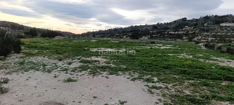 Foto de81f67f-c250-4e31-8720-7e07d8f7bc1f. Finca rústica a Pedanías Oeste Aspe