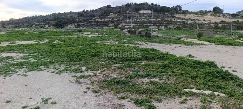 Foto e63e266a-53de-499f-b3de-f7b22d503224. Finca rústica a Pedanías Oeste Aspe