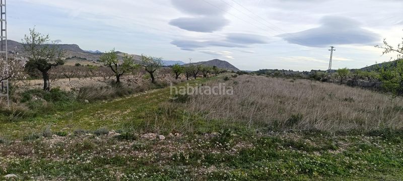 Foto 52b5f5e0-a615-4097-94c3-93c7c3d9acb1. Finca rústica a Hondón de las Nieves