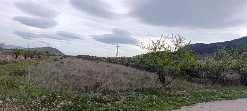 Foto a7817b58-76f3-47b4-8fde-3412f28843f2. Finca rústica a Hondón de las Nieves
