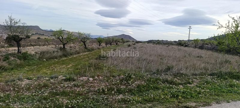 Foto ef56838c-65ed-432d-9f75-6e5e1207829f. Finca rústica a Hondón de las Nieves