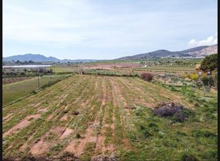 Finca rústica a Hondón de las Nieves. Amplio terreno rústico en hondon de las nieves  el rebalso