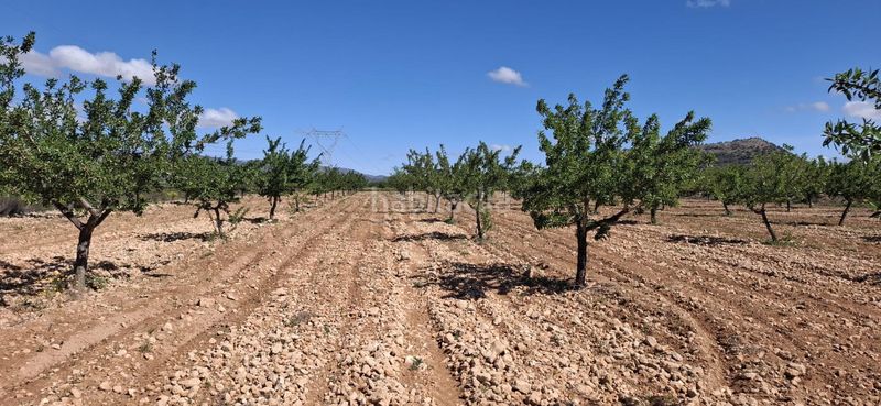 Foto 0b5f104b-75d3-4375-8eac-014f4f1cb638. Finca rústica a Monòver