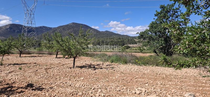 Foto 4408eebb-4564-4c75-a554-2644f4c48a73. Finca rústica a Monòver