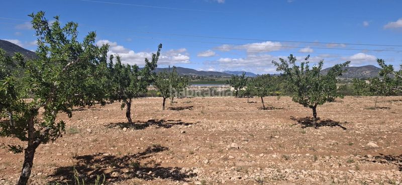 Foto 5d6fe58e-f028-4f4a-8290-35ec0c519228. Finca rústica a Monòver