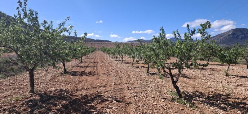 Foto 624fc809-7ef8-4219-b2bd-bc94881c9ba4. Finca rústica a Monòver