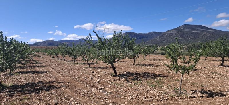 Foto 79d3cd54-d3bd-4f82-92e5-cbe8be16831b. Finca rústica a Monòver