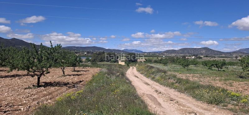 Foto 8bc135a3-d748-4b1c-8073-150469c353b6. Finca rústica a Monòver