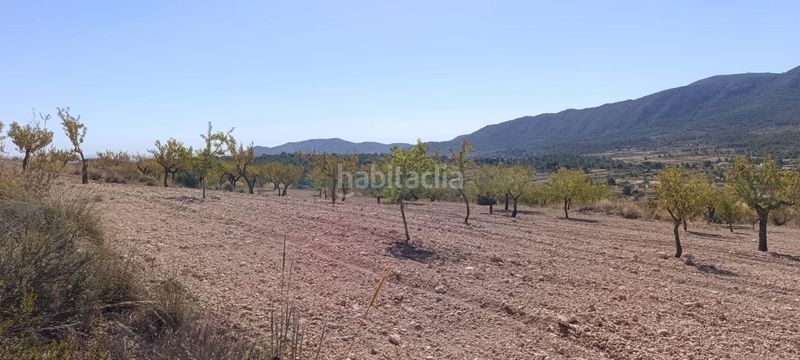 Foto bded9c62-e6d2-4226-a922-99471d8ea918. Finca rústica a Romana (la)
