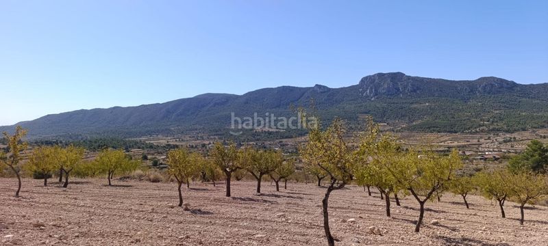 Foto c14ce9f3-728e-441e-b7d9-8b2f0ad153e7. Finca rústica a Romana (la)
