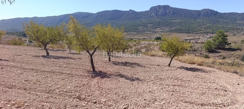 Foto f28fa839-5f22-4ab8-a64a-bb28380f7662. Finca rústica a Romana (la)