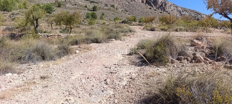 Foto fb6113ff-4436-48bb-bbde-329d18e6a2ae. Finca rústica a Romana (la)