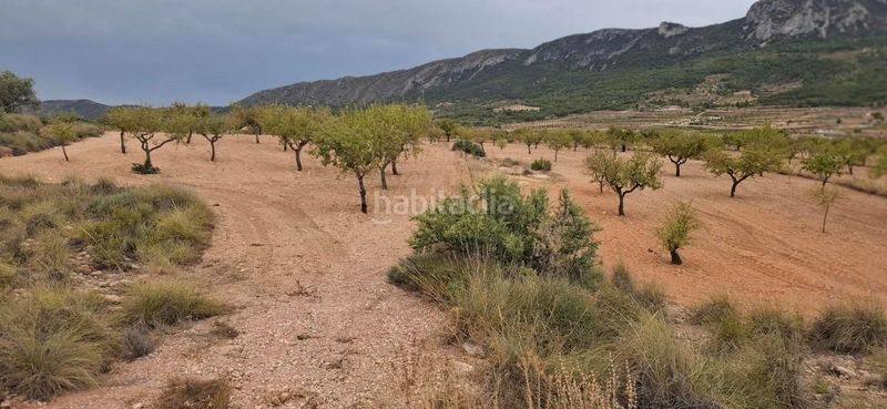 Foto 8b4f9c49-3d07-413b-8ab3-4e86ff205b75. Finca rústica a Romana (la)