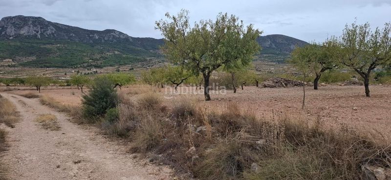 Foto 9106fbb0-c9a4-4222-95f0-e29da97a0c71. Finca rústica a Romana (la)
