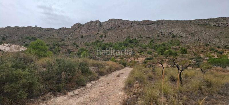 Foto c6ea8822-afdb-4c31-bec9-b13f15499469. Finca rústica a Romana (la)