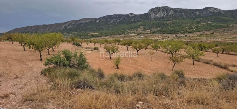 Foto fb741519-84cb-46fe-9665-dac99f38b917. Finca rústica a Romana (la)