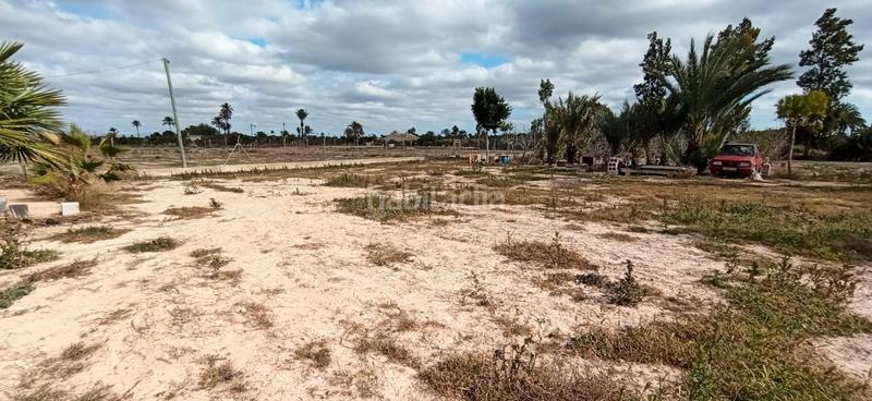 Foto aeaace26-f49c-4580-9278-2ad2ac8646b2. Casa a Algorós - El Derramador Elche / Elx