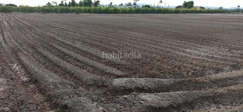 Foto 1d2740cd-1181-4bb0-aa3a-23ce0b8ac8d7. Haus mit heizung in La Foia - Daimés - Asprella Elche / Elx