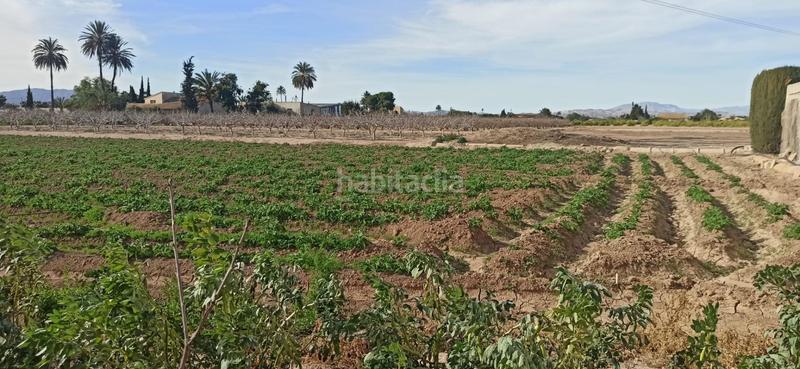 Foto 2377d863-8e9c-4bb9-8749-a2c397e8a0ca. Haus mit heizung in La Foia - Daimés - Asprella Elche / Elx