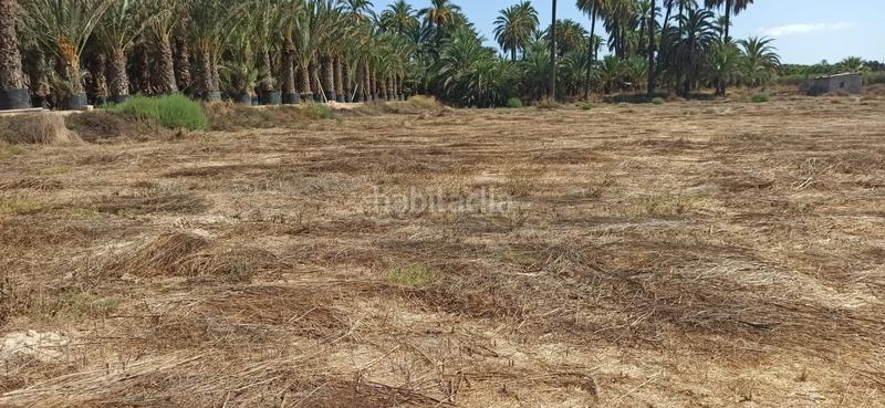 Foto 48d615de-8d32-4775-8e88-b9f1ab31efae. Haus mit heizung in La Foia - Daimés - Asprella Elche / Elx