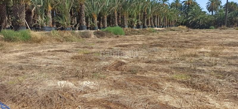 Foto 4ec36a07-25ea-401f-97f0-d6f5c7485bd0. Haus mit heizung in La Foia - Daimés - Asprella Elche / Elx