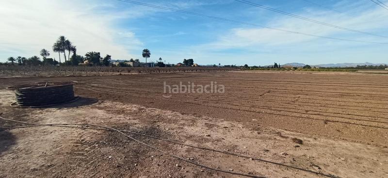 Foto 705b946a-f181-4dcb-a69f-f5896032f418. Haus mit heizung in La Foia - Daimés - Asprella Elche / Elx