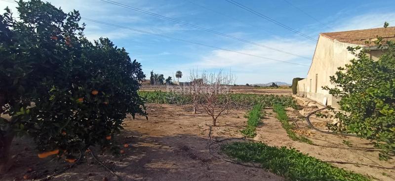 Foto 8b69283b-2fc6-4d07-9a12-01f862e3b823. Haus mit heizung in La Foia - Daimés - Asprella Elche / Elx